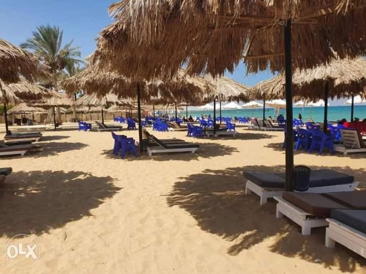 شاليه فرش فندقي بقرية بالميرا بيتش العين السخنه للعائلات Ain Sukhna Bagian luar foto